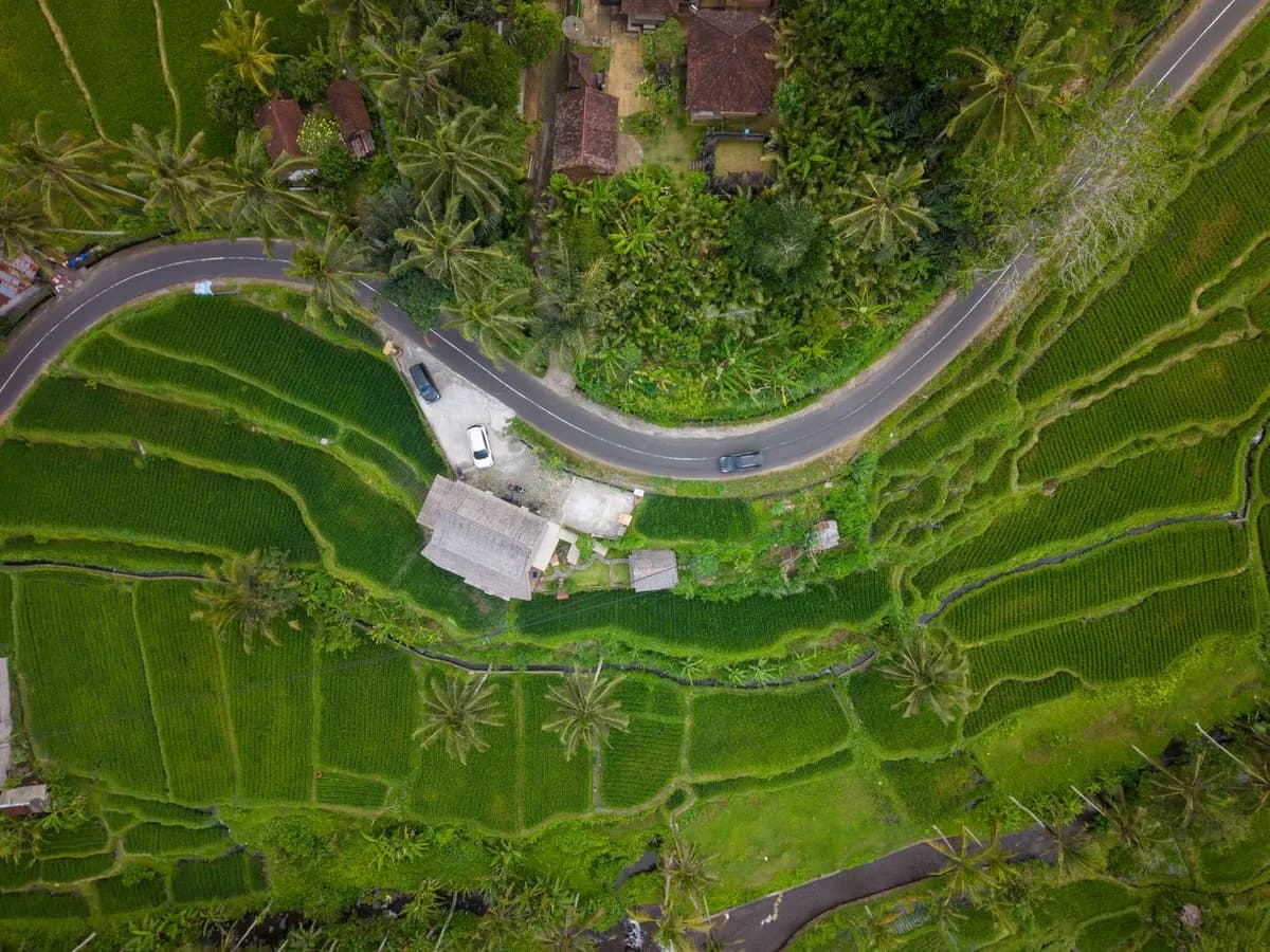 Pemandangan udara sawah bertingkat di Bali